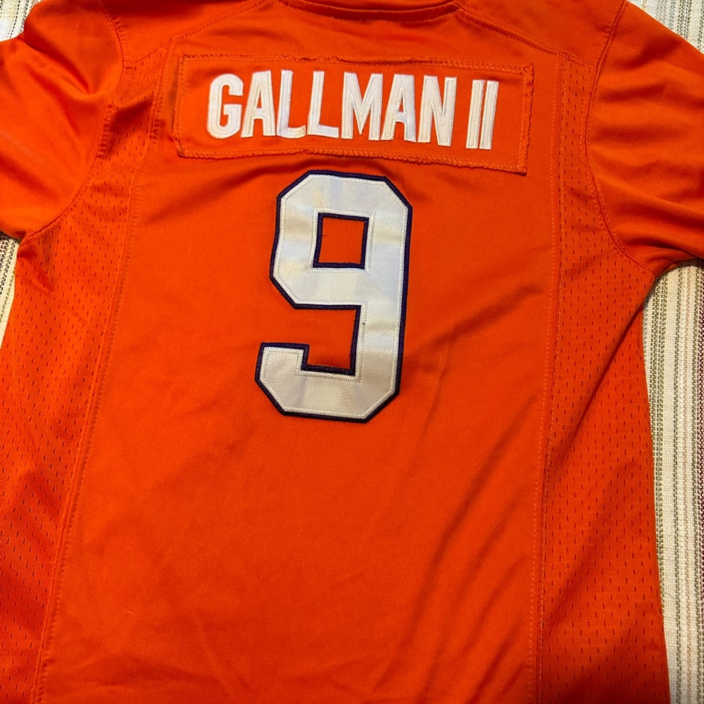 Nike Clemson Wayne Gallman Jersey
